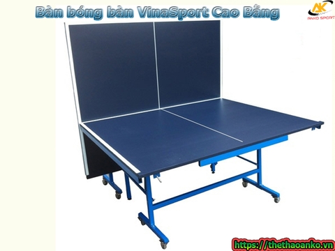 Bàn bóng bàn VinaSport Cao Bằng
