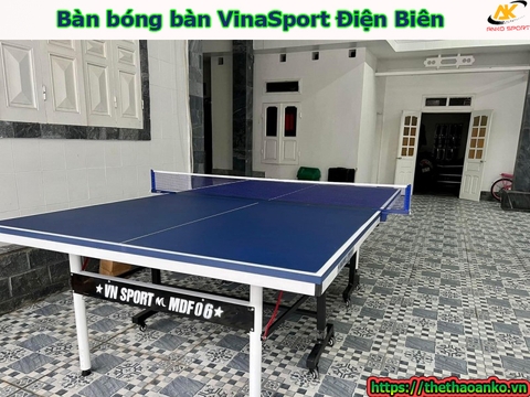 Bàn bóng bàn VinaSport Điện Biên