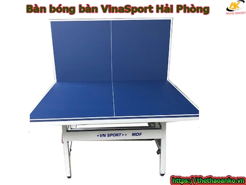 Bàn bóng bàn VinaSport Hải Phòng