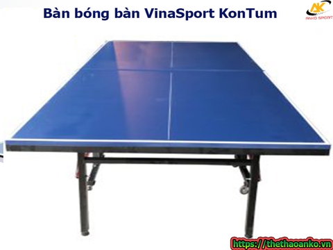 Bàn bóng bàn VinaSport KonTum