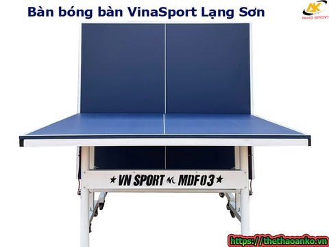 Bàn bóng bàn VinaSport Lạng Sơn