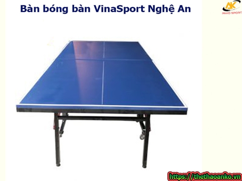 Bàn bóng bàn VinaSport Nghệ An