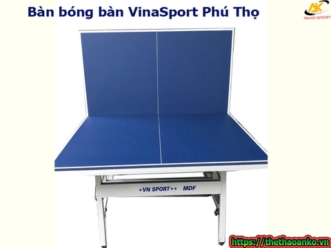 Bàn bóng bàn VinaSport Phú Thọ