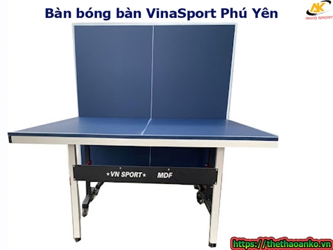 Bàn bóng bàn VinaSport Phú Yên