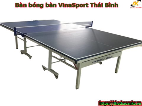 Bàn bóng bàn VinaSport Thái Bình
