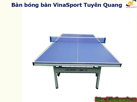 Bàn bóng bàn VinaSport Tuyên Quang