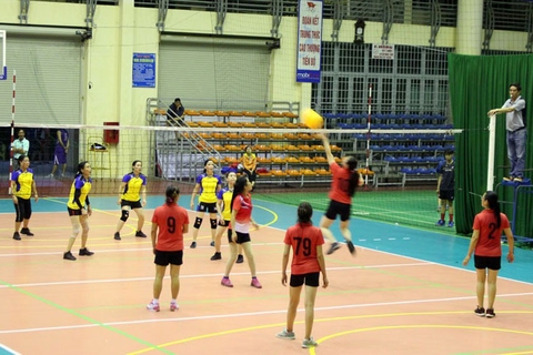 Bóng Chuyền Là Gì? Có Mấy Loại? Đặc Điểm Của Bộ Môn Bóng Chuyền