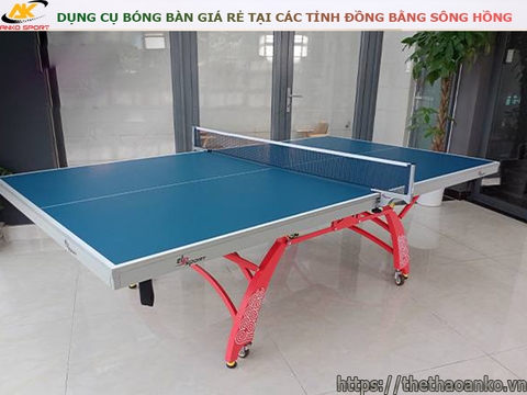 DỤNG CỤ BÓNG BÀN GIÁ RẺ