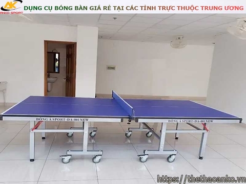 DỤNG CỤ BÓNG BÀN GIÁ RẺ TẠI CÁC TỈNH TRỰC THUỘC TRUNG ƯƠNG