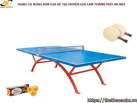 DỤNG CỤ BÓNG BÀN GIÁ RẺ HUYỆN GIA LÂM