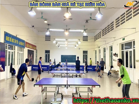 Mua bàn bóng bàn ở Biên Hòa