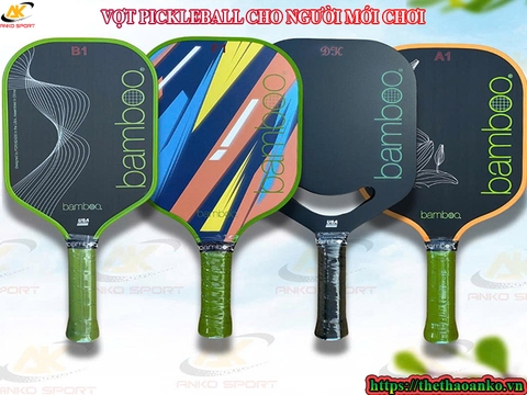 Mua vợt pickleball cho người mới chơi tại Thủ Đô Hà Nội