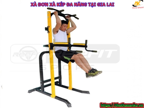 XÀ ĐƠN XÀ KÉP ĐA NĂNG GIA LAI