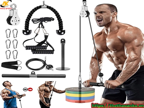 Shop bán dụng cụ tập gym giá rẻ tại Quận Hà Đông