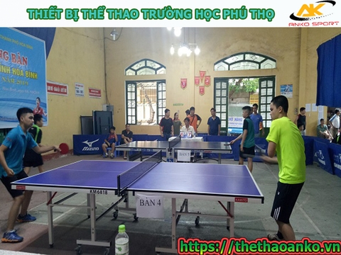 THIẾT BỊ THỂ THAO TRƯỜNG HỌC PHÚ THỌ