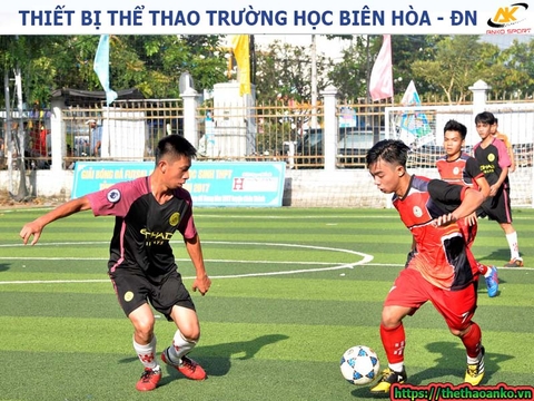 THIẾT BỊ THỂ THAO TRƯỜNG HỌC BIÊN HÒA