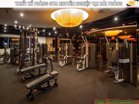 Thiết kế, thi công, cung cấp và lắp đặt thiết bị phòng gym tại Hải Phòng
