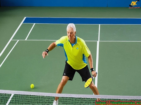Trụ lưới Pickleball cố định và di động giá rẻ tại Hòa Bình