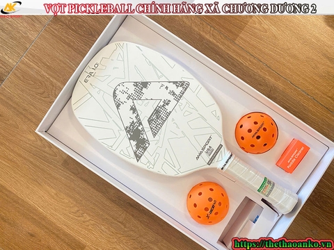 VỢT PICKLEBALL CHÍNH HÃNG XÃ CHƯƠNG DƯƠNG 2