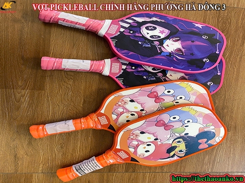 VỢT PICKLEBALL CHÍNH HÃNG PHƯỜNG HÀ ĐÔNG 3