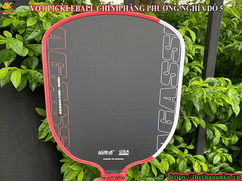 VỢT PICKLEBALL CHÍNH HÃNG PHƯỜNG NGHĨA ĐÔ 5