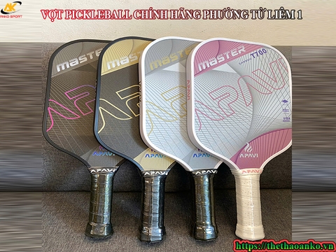 VỢT PICKLEBALL CHÍNH HÃNG PHƯỜNG TỪ LIÊM 1