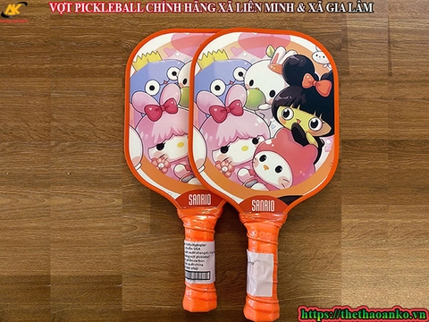 VỢT PICKLEBALL CHÍNH HÃNG XÃ LIÊN MINH & XÃ GIA LÂM