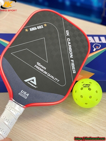 VỢT PICKLEBALL CHO NGƯỜI MỚI CHƠI TẠI PHÚ THỌ