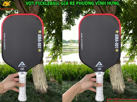 Vợt pickleball giá rẻ Phường Vĩnh Hưng