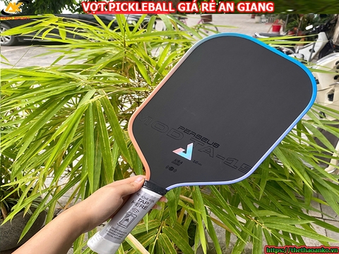 Vợt pickleball giá rẻ tại An Giang
