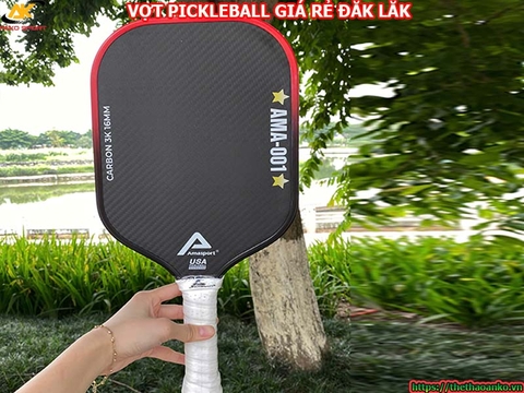 Vợt pickleball giá rẻ tại Đắk Lắk