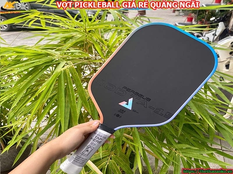 Vợt pickleball giá rẻ tại Quảng Ngãi
