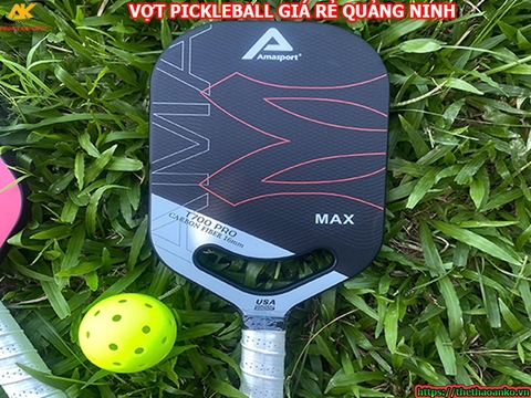 Vợt pickleball giá rẻ tại Hạ Long