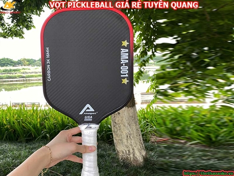 Vợt pickleball giá rẻ Tuyên Quang