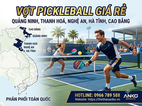 VỢT PICKLEBALL GIÁ RẺ TẠI VIỆT NAM 7