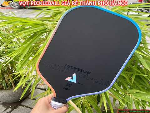 Vợt pickleball giá rẻ tại Thành phố Hà Nội