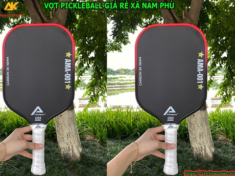 Vợt pickleball giá rẻ Xã Nam Phù