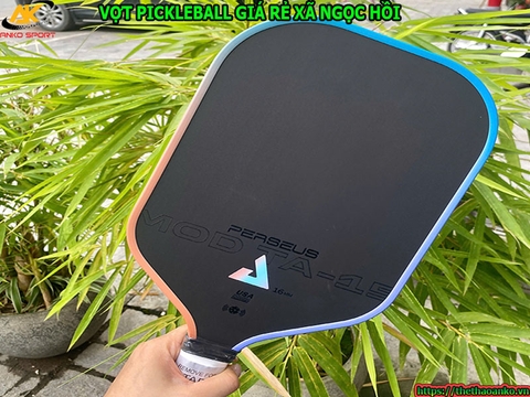 Vợt pickleball giá rẻ Xã Ngọc Hồi