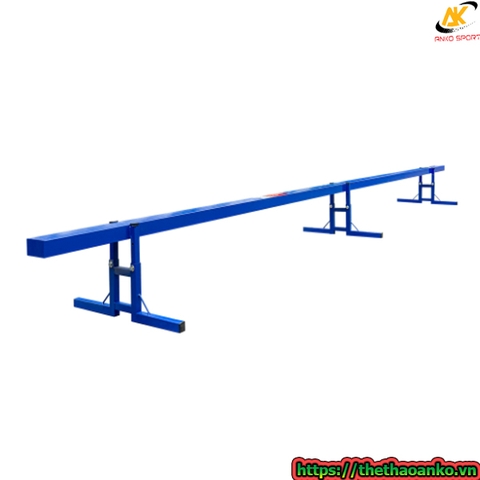 Cầu thăng bằng tập luyện TL01
