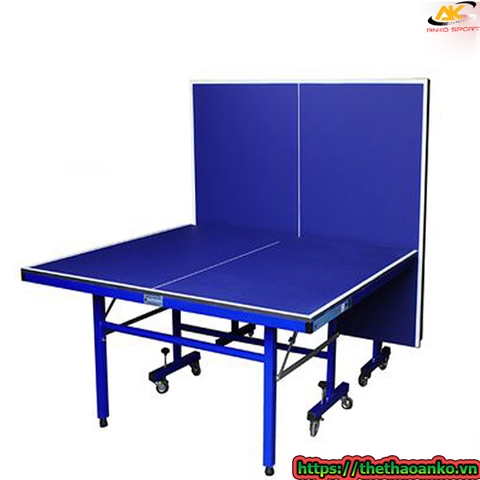 Bàn bóng bàn gấp gọn Đức Long TL-05