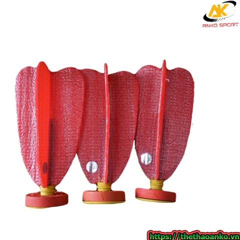 Cầu đá thi đấu quốc tế TLS