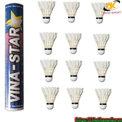 Cầu Vinastar loại 1 giá tốt nhất tại Việt Nam