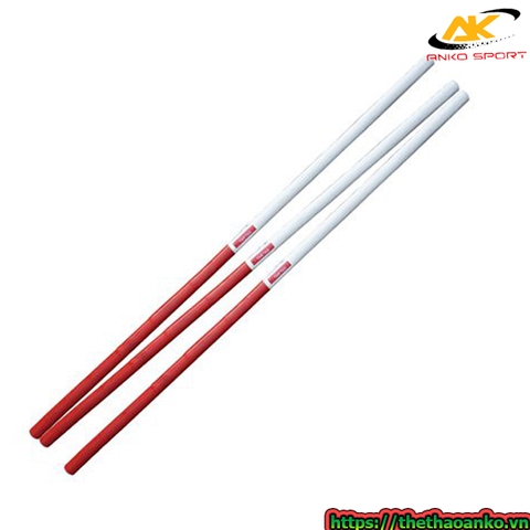 Gậy thi đấu môn đẩy gậy