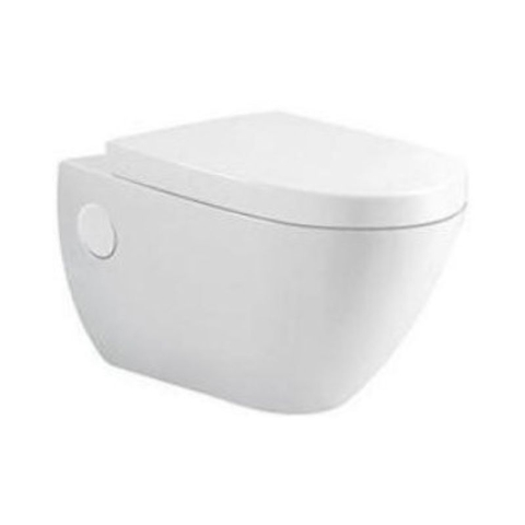 BỒN CẦU TREO A-805