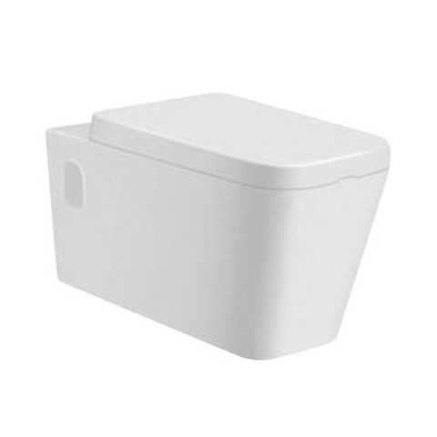 BỒN CẦU TREO 4030