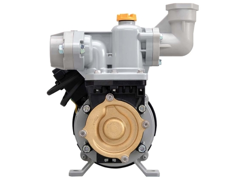 Máy bơm nước chân không Hitachi W-P155NH