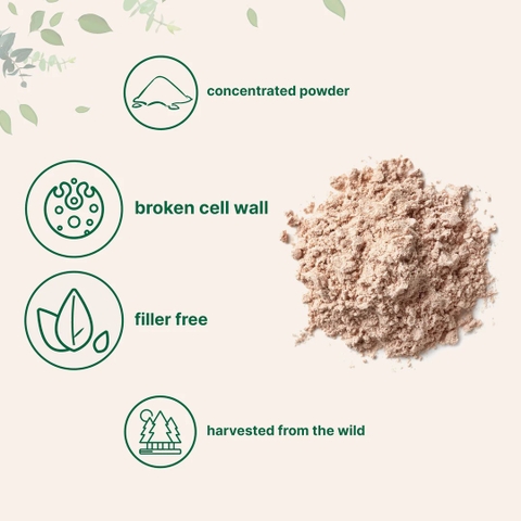 Pine Pollen Powder, 6 oz