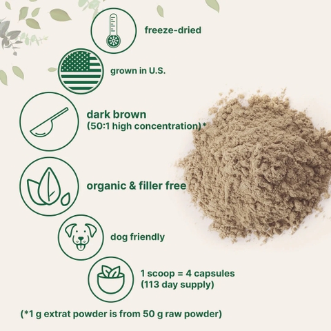 Organic Turkey Tail Powder