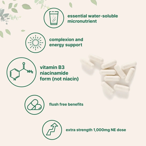 Vitamin B3 Niacinamide, 400 Capsules