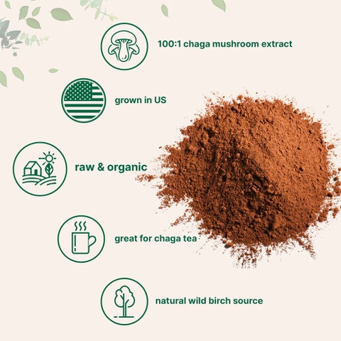 Organic Chaga Mushroom Extract 100:1 Powder, 10 Ounce